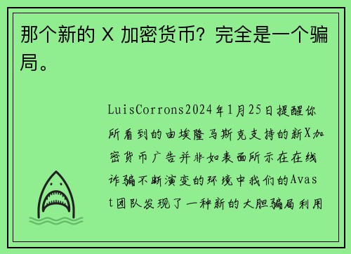 那个新的 X 加密货币？完全是一个骗局。